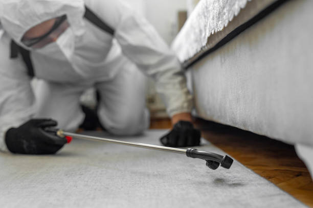 Professional Bed Bug Control technician working in Chattooga County County, GA
